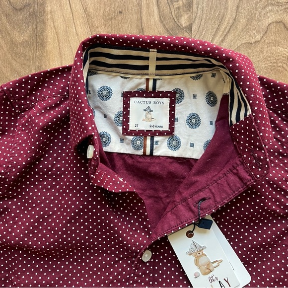 Cactus Boys Button Down Spot Shirt 2T New With Tags - Picture 3 of 4